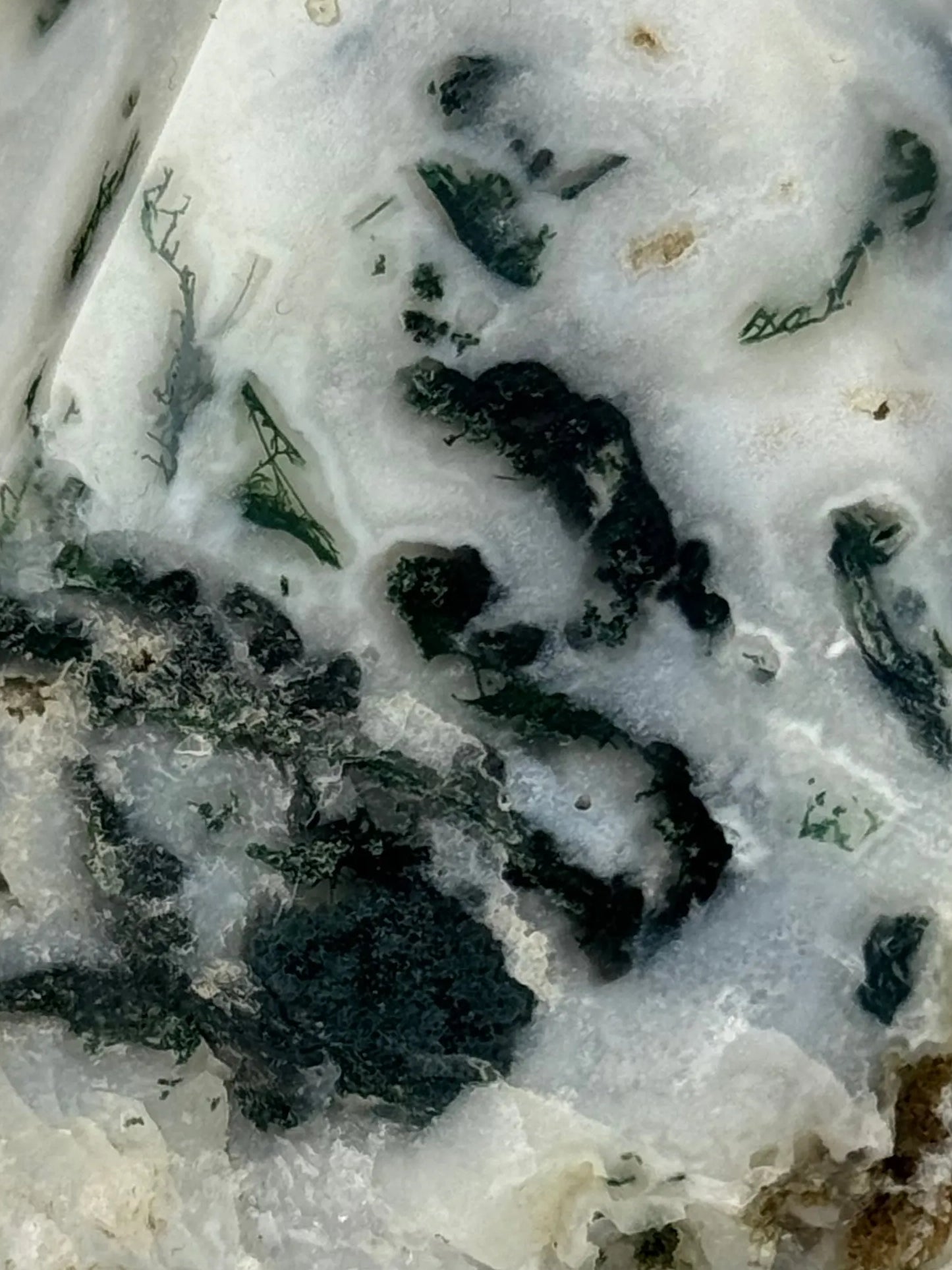 Moss Agate Top Polish - A