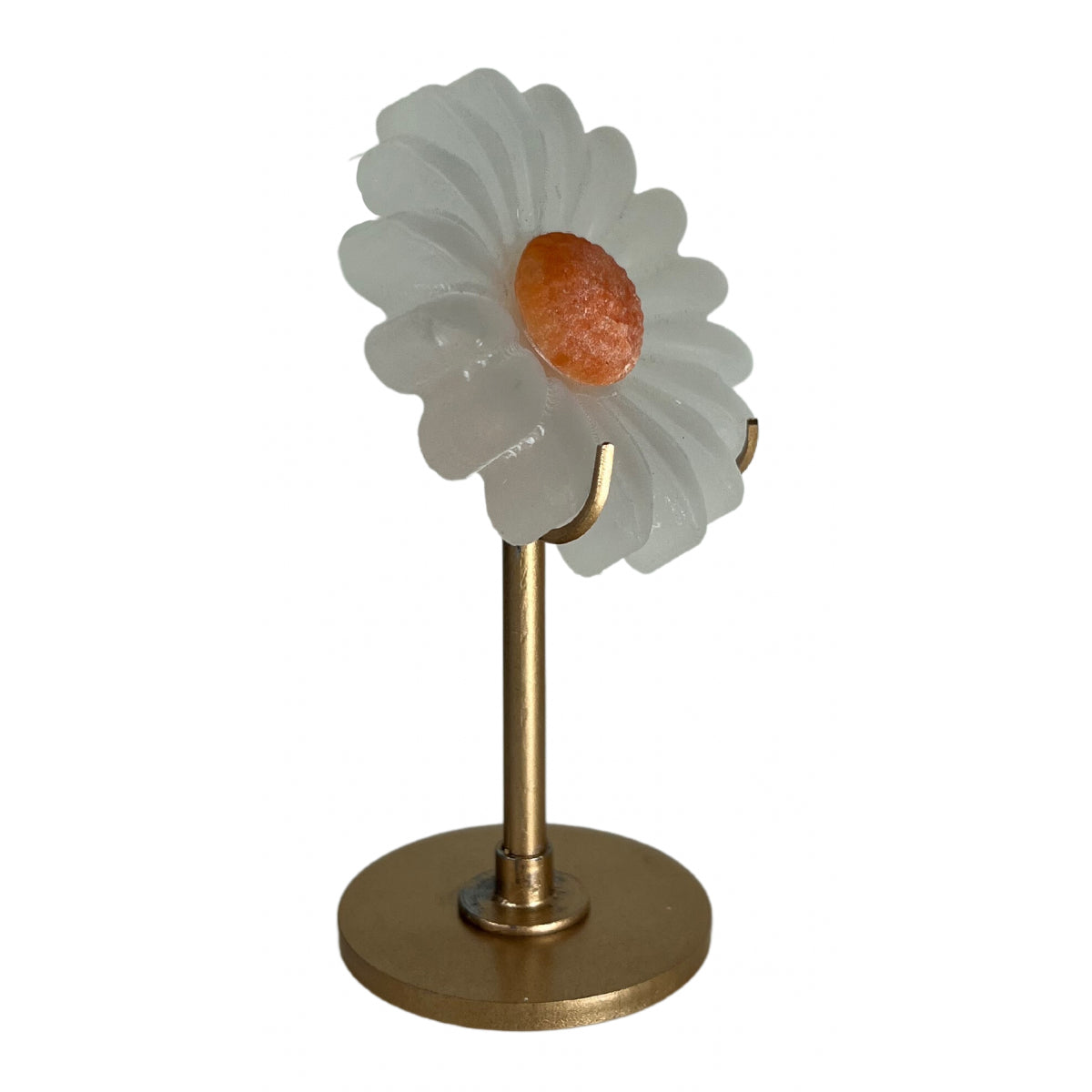 Selenite Daisy