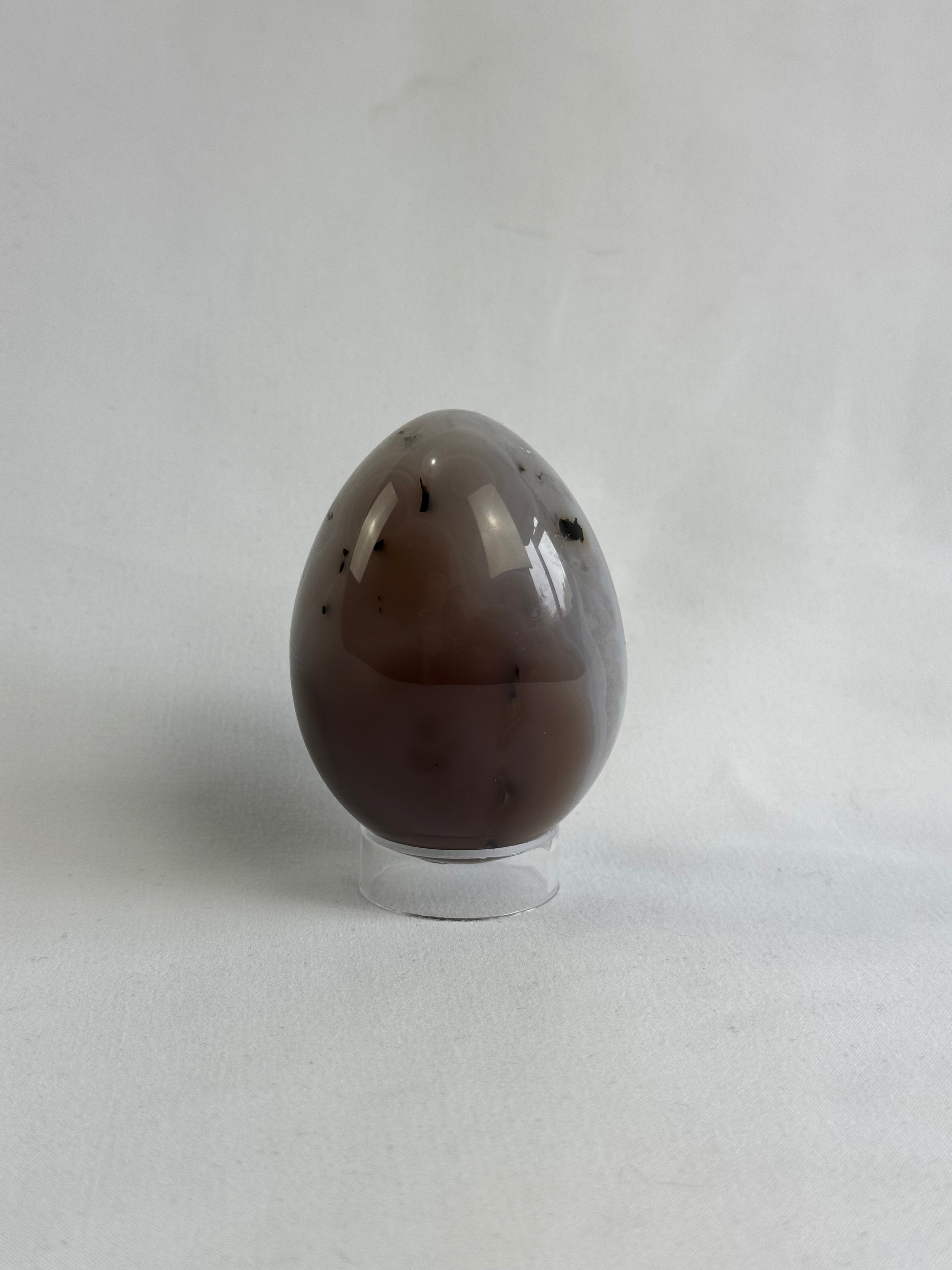 Agate egg - brazilian, with quartz geode, view 4 - The Crystal Showroom