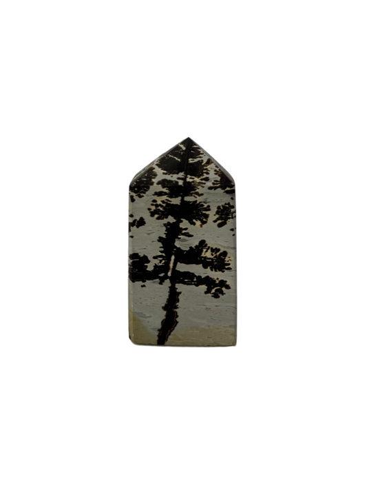 Picture Jasper Tower - P
