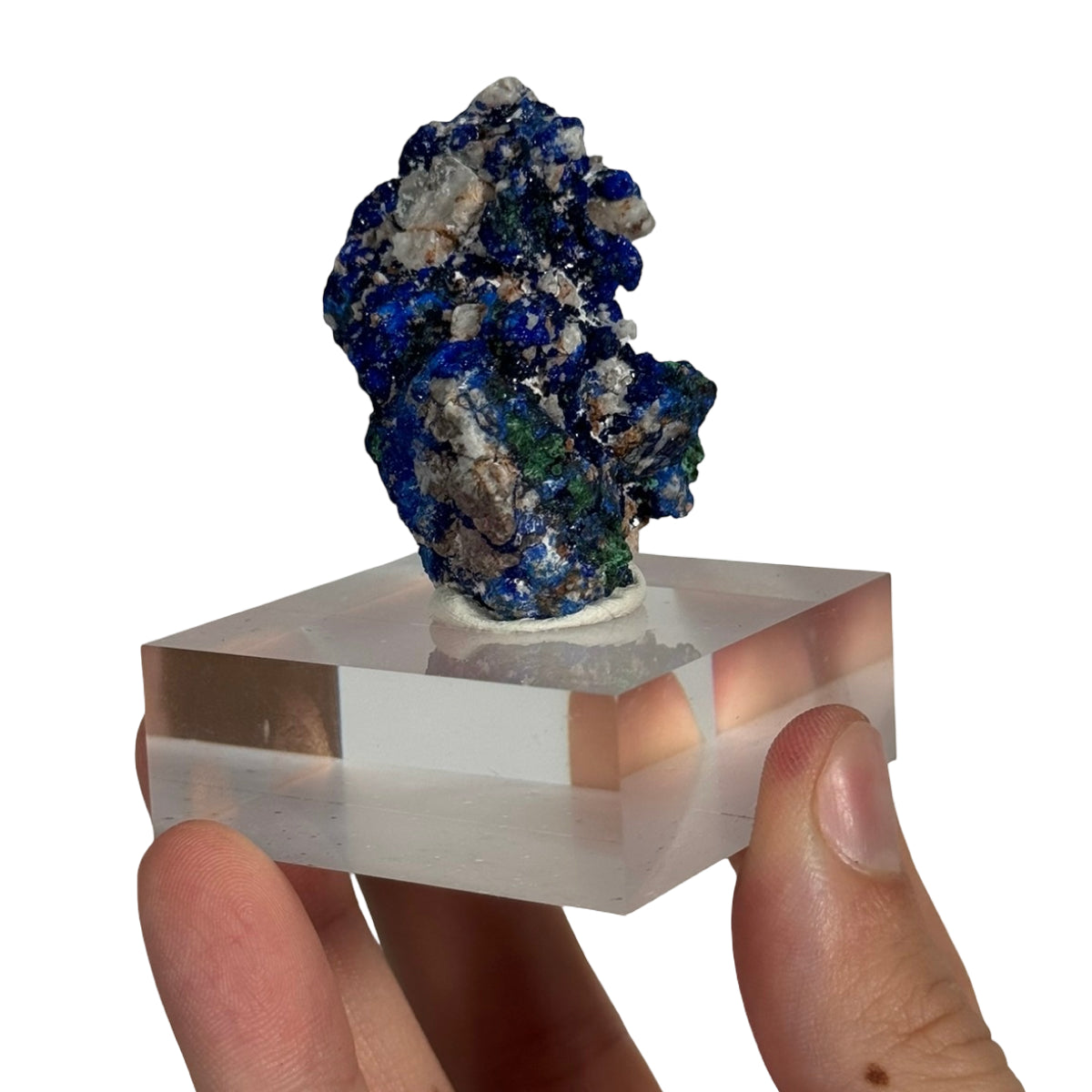 Azurite with malachite (A) — natural, Morocco