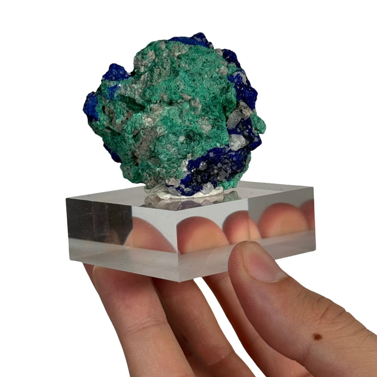 Azurite with malachite (B) — natural, Morocco
