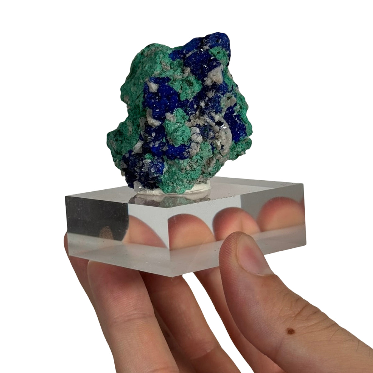 Azurite with malachite (B) — natural, Morocco