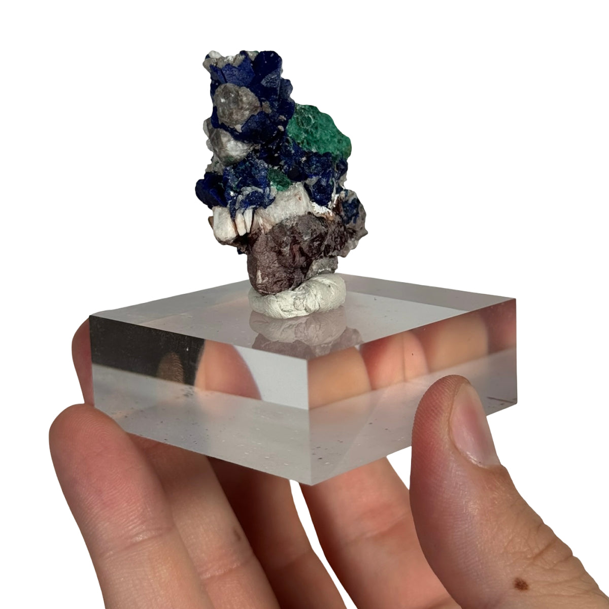 Azurite with malachite (D) — natural, Morocco