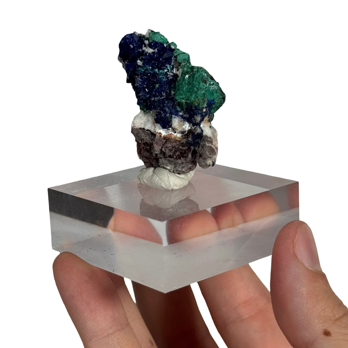 Azurite with malachite (D) — natural, Morocco