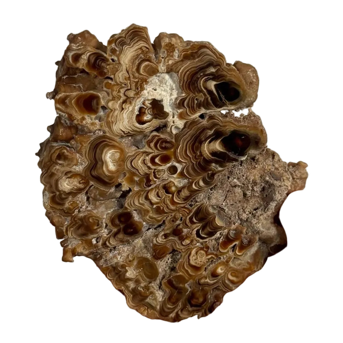 Aragonite slice (F) — natural, Morocco