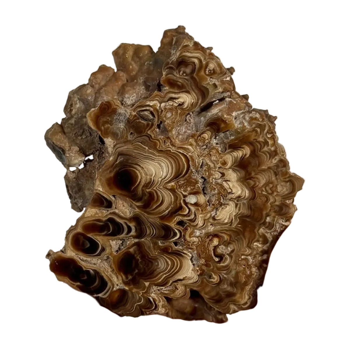 Aragonite slice (F) — natural, Morocco