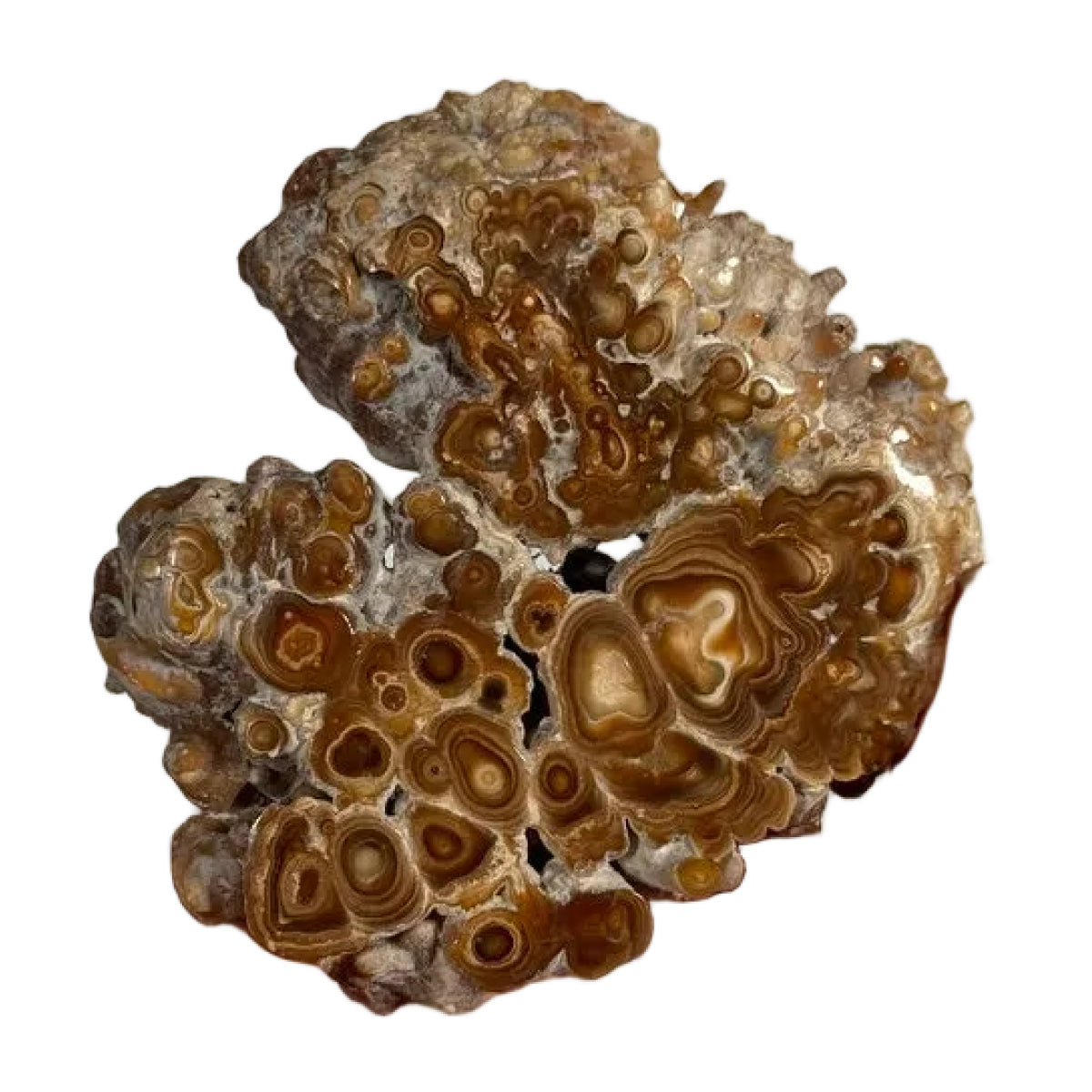 Aragonite slice (A) — natural, Morocco