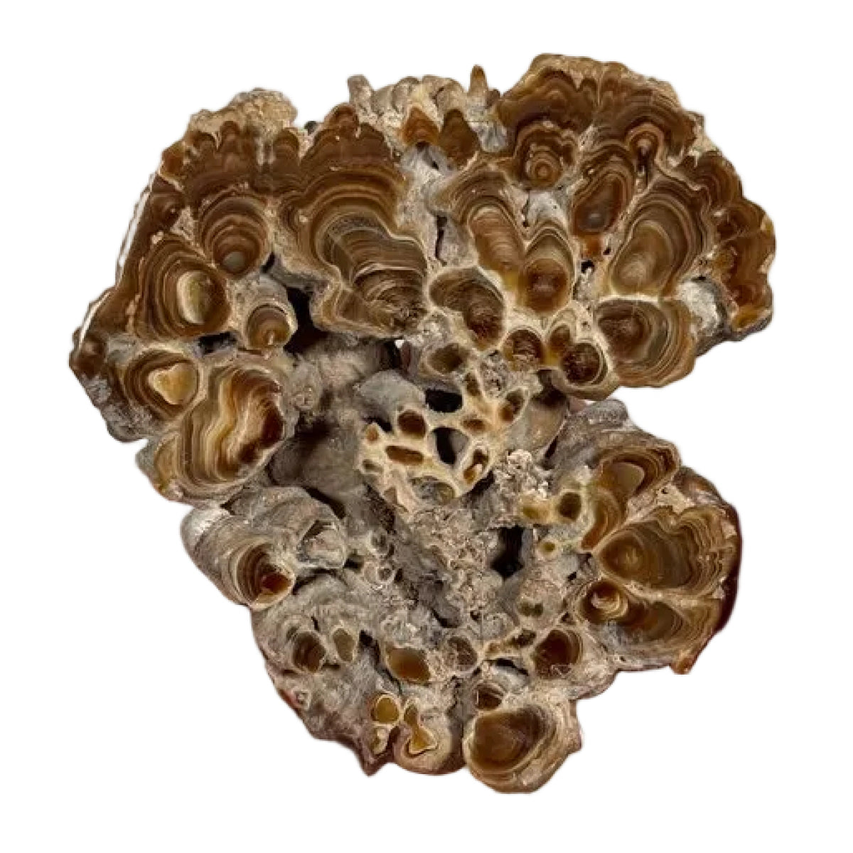 Aragonite slice (A) — natural, Morocco