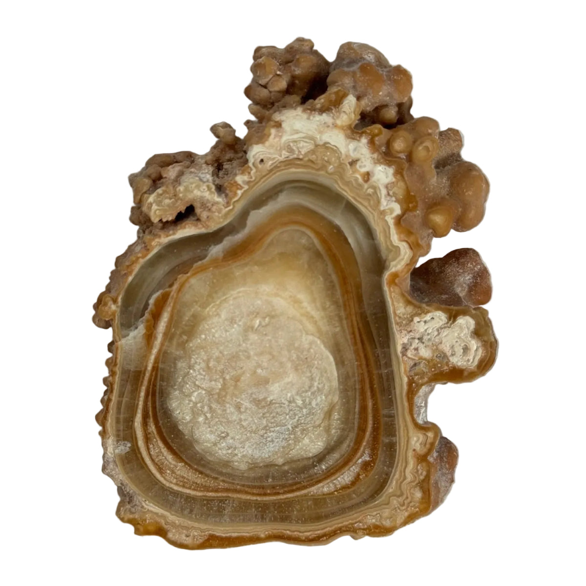 Aragonite slice (B) — natural, Morocco