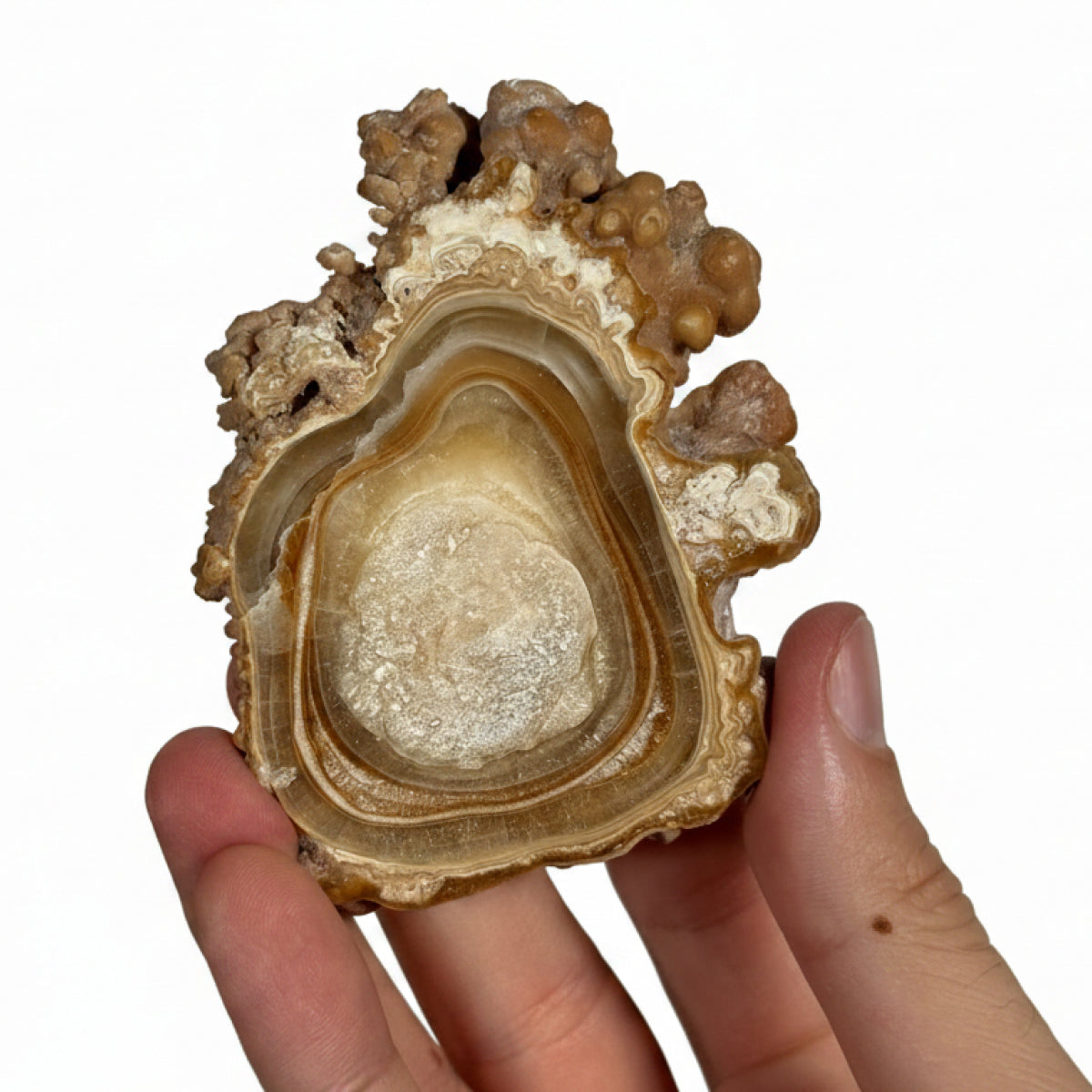 Aragonite slice (B) — natural, Morocco