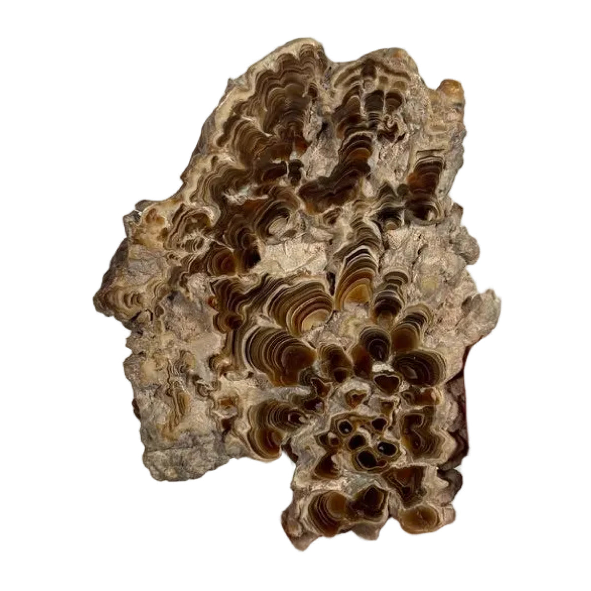 Aragonite slice (D) — natural, Morocco