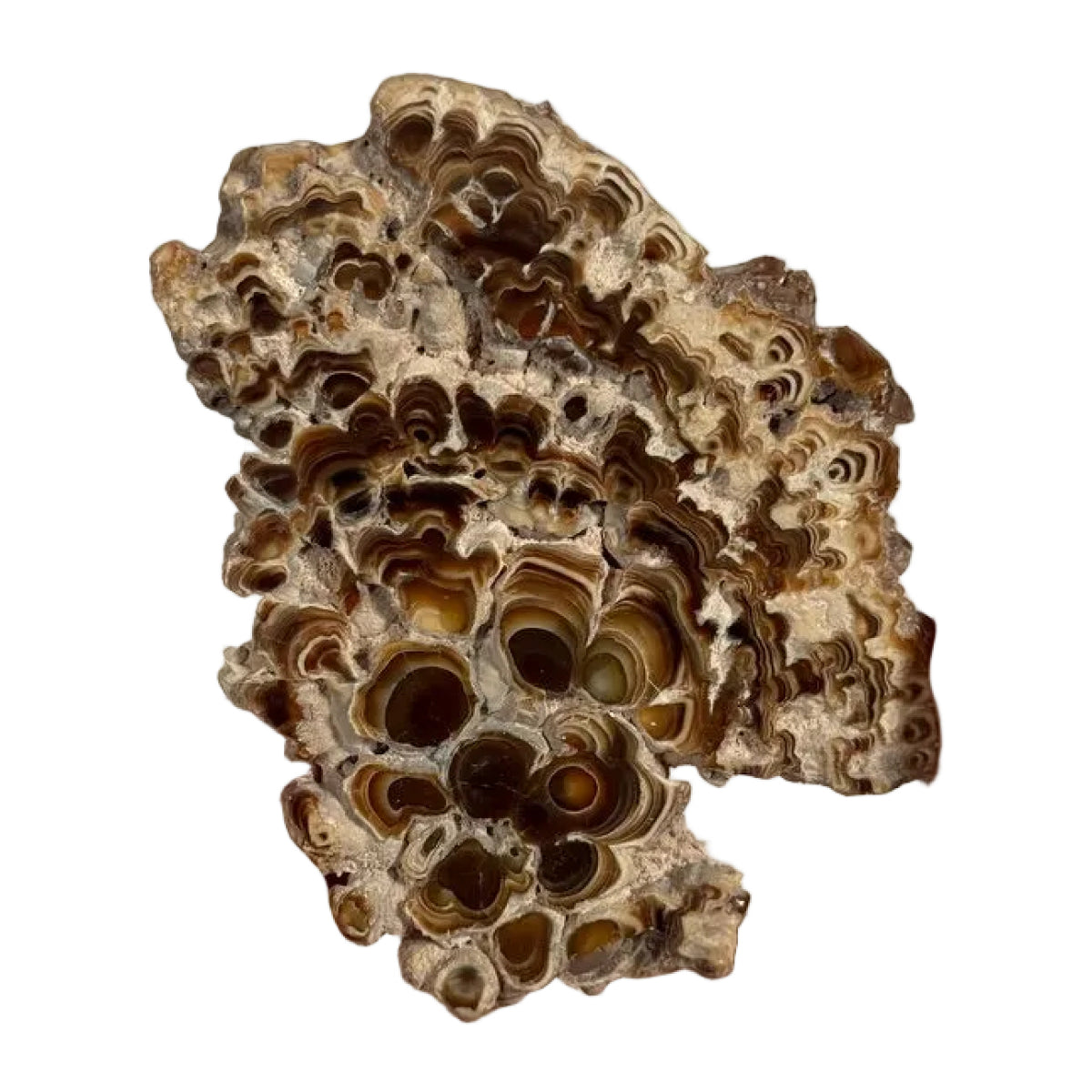 Aragonite slice (D) — natural, Morocco