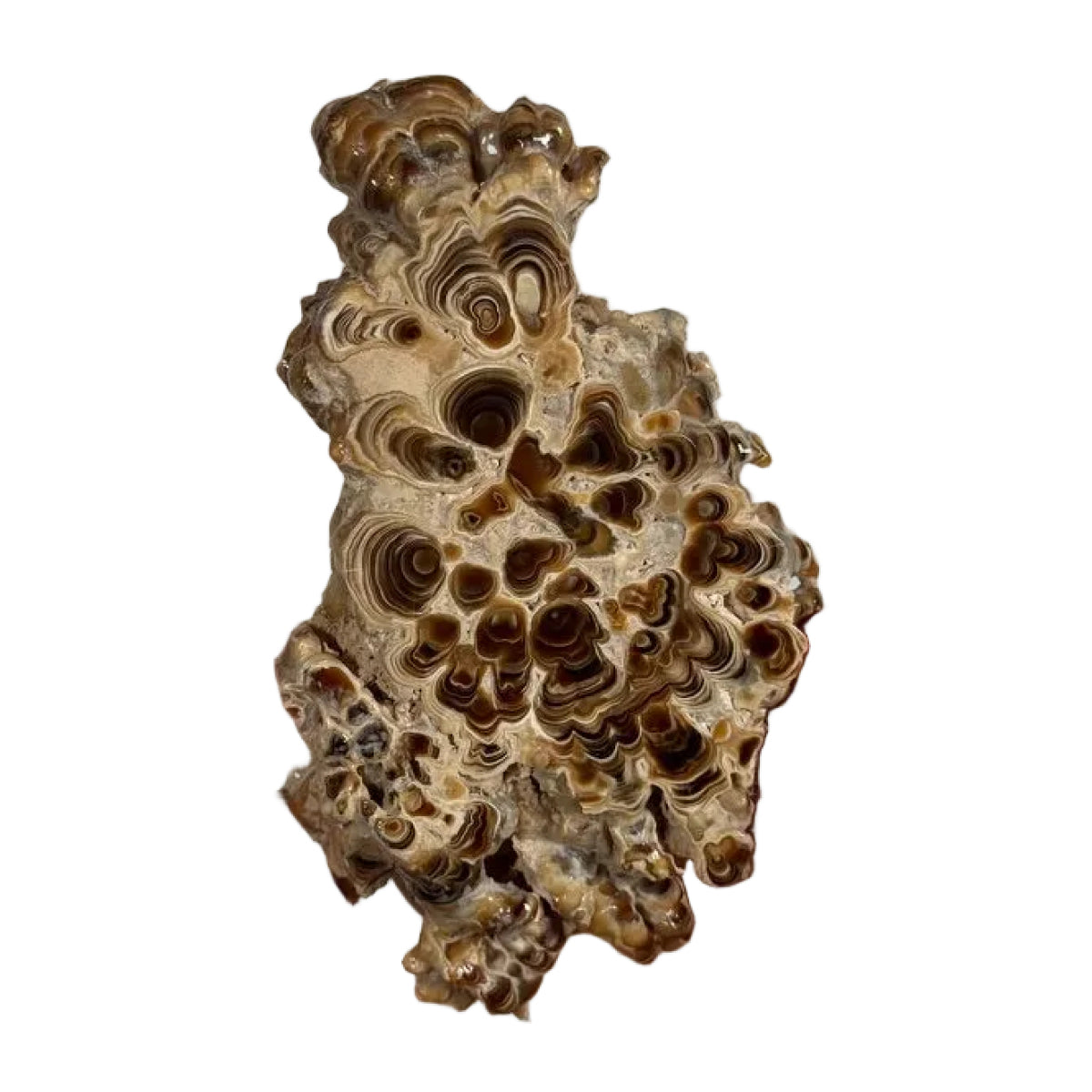 Aragonite slice (E) — natural, Morocco