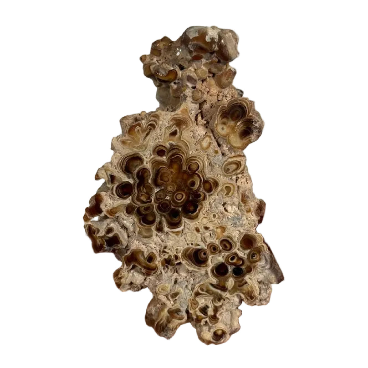 Aragonite slice (E) — natural, Morocco