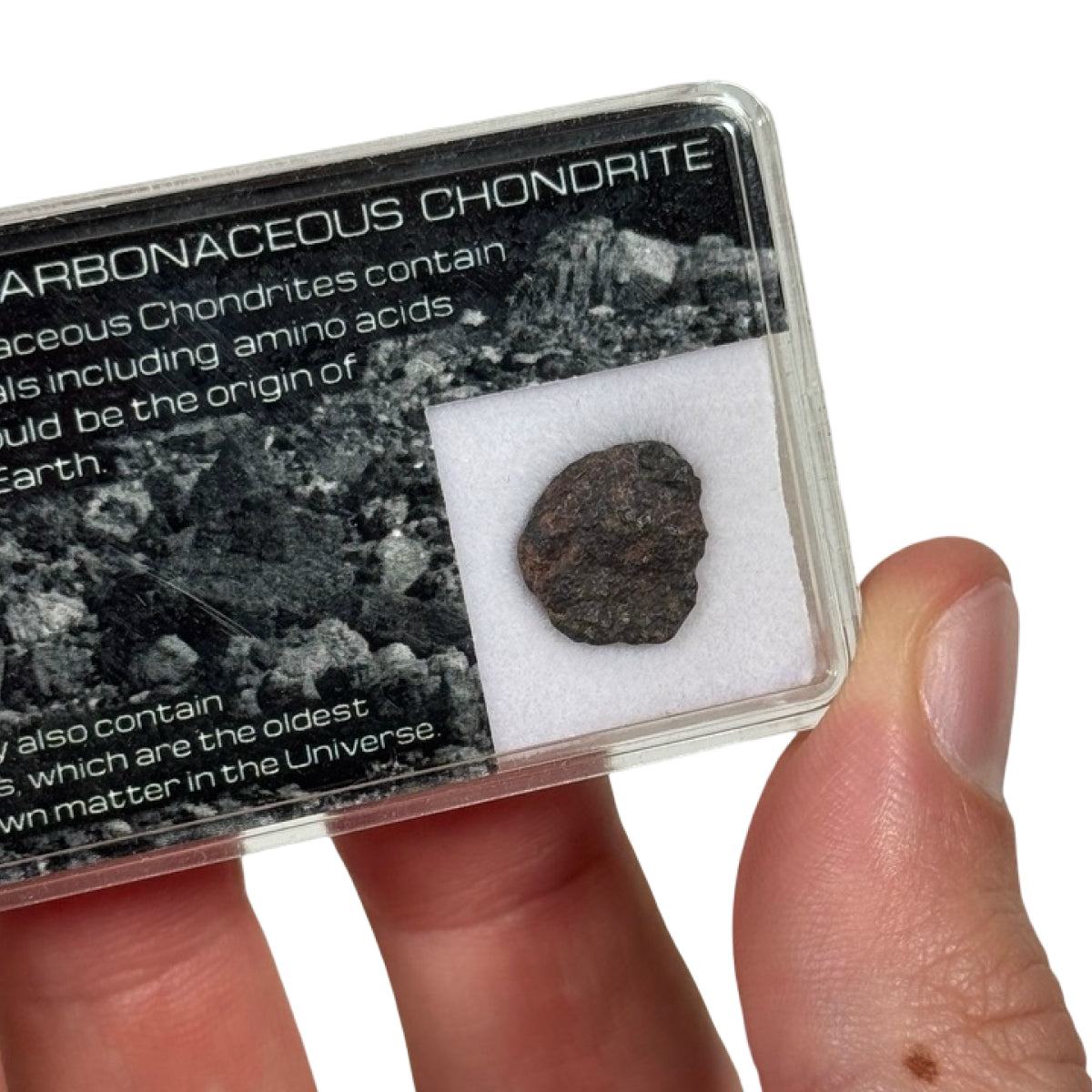 Carbonaceous chondrite fragment (B) — unclassified, Sahara