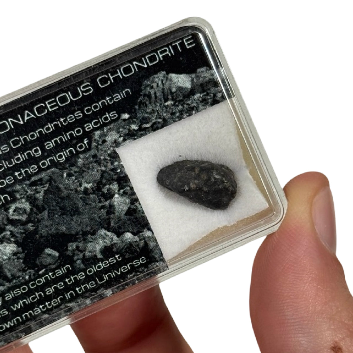 Carbonaceous chondrite fragment (D) — unclassified, Sahara