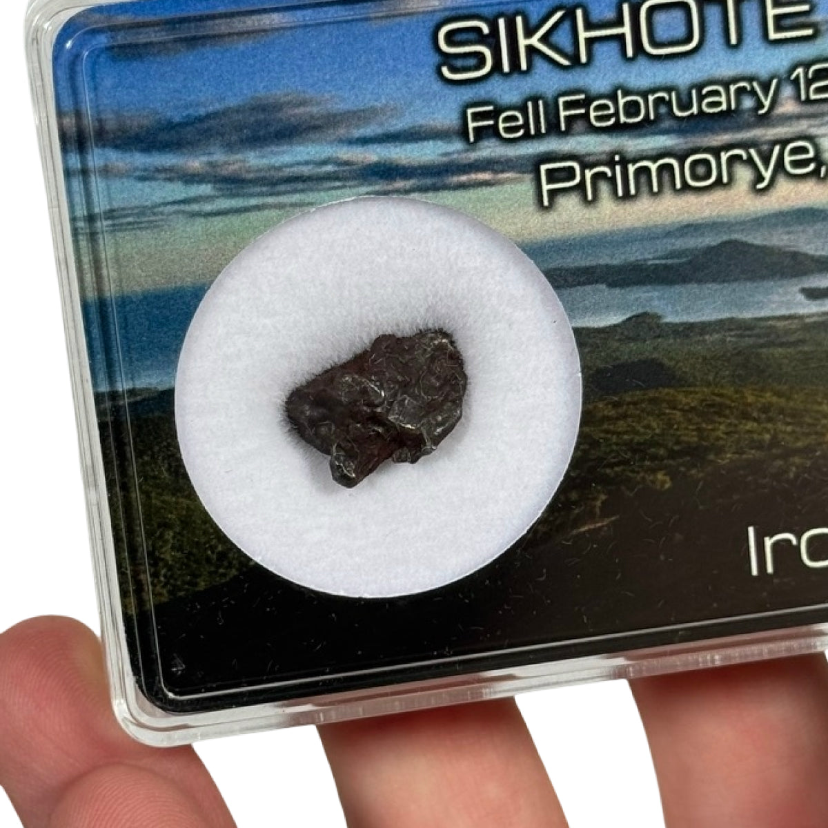 Iron meteorite shrapnel (B) — Sikhote-Alin, Russia