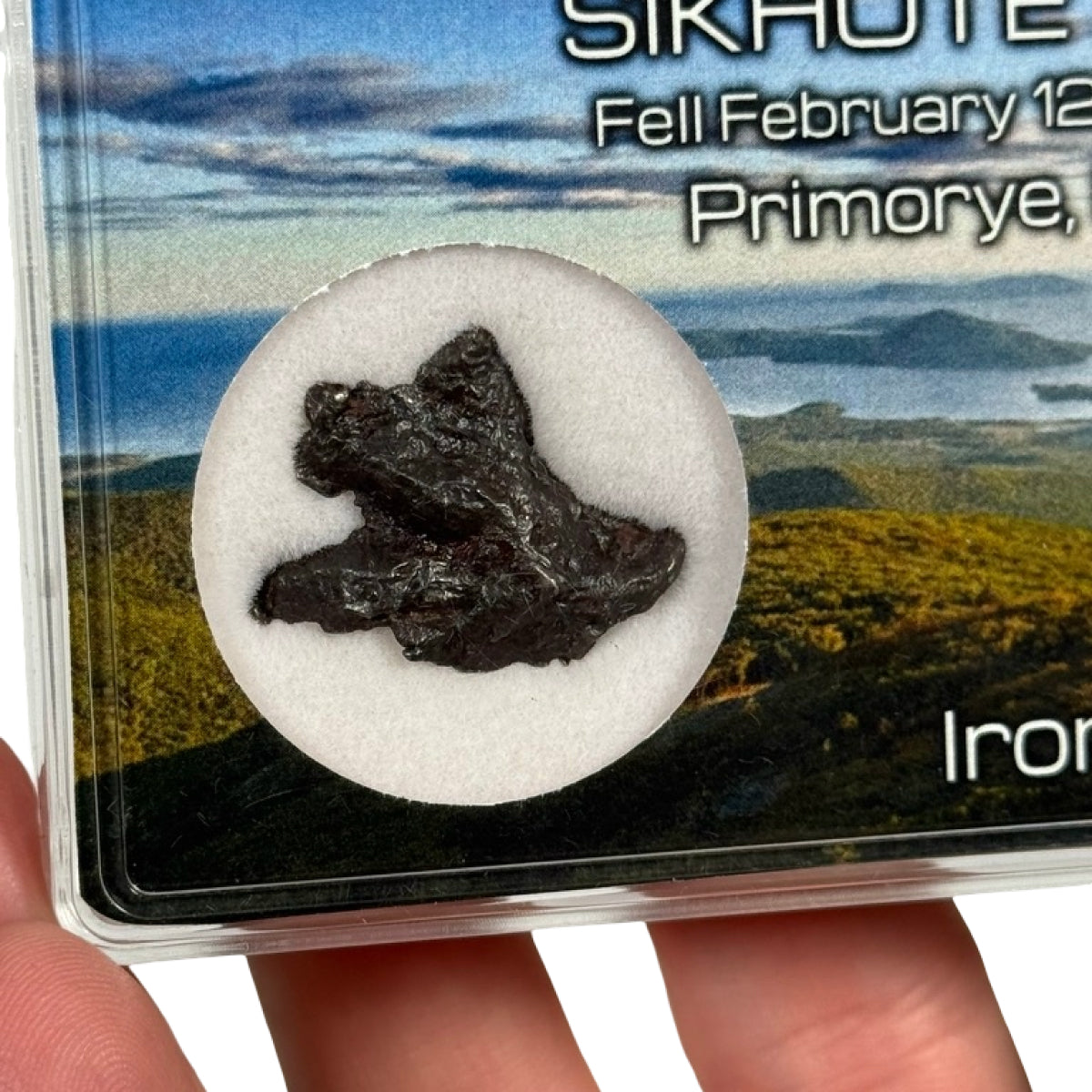 Iron meteorite shrapnel (A) — Sikhote-Alin, Russia