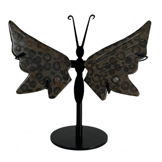 Leopard Skin Jasper Butterfly Wing
