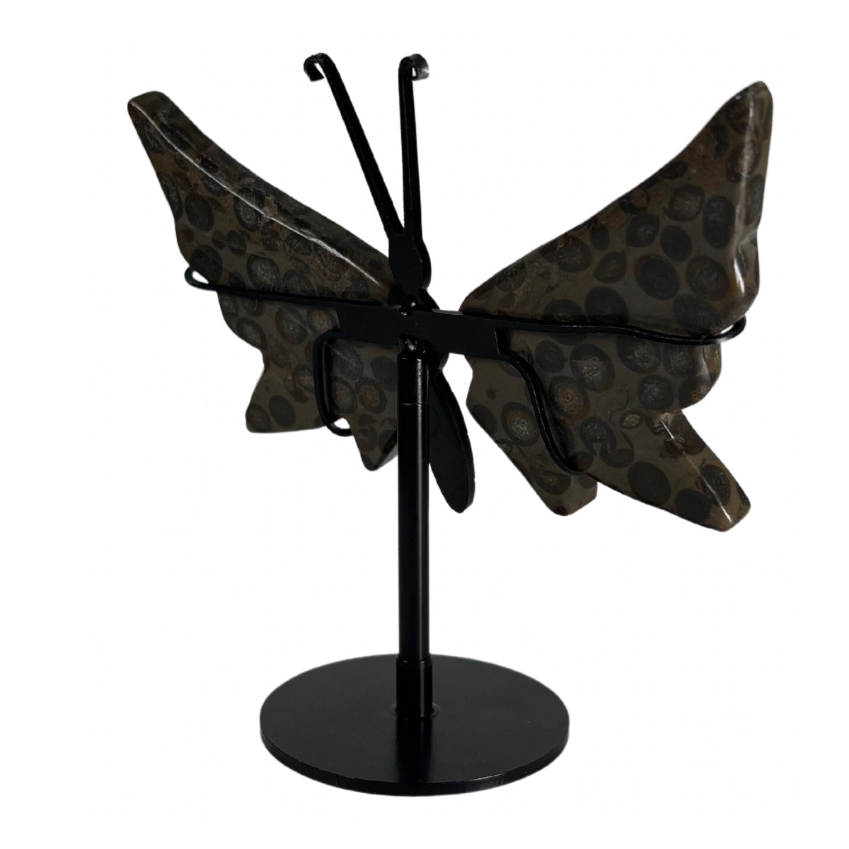 Leopard Skin Jasper Butterfly Wing