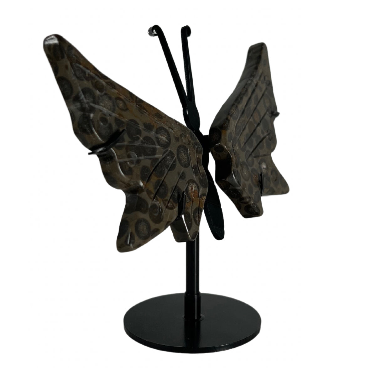 Leopard Skin Jasper Butterfly Wing