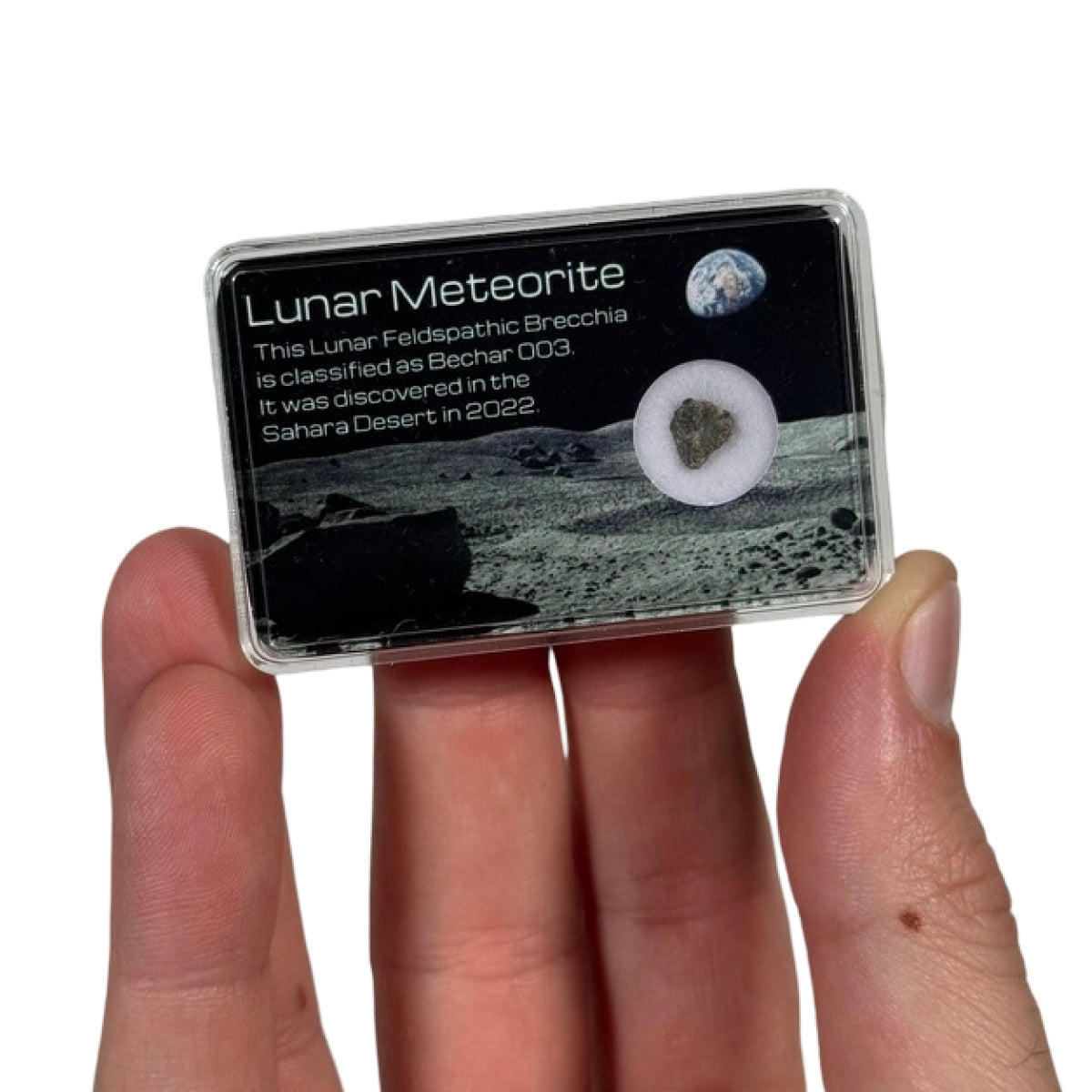 Lunar meteorite fragment (C) — Bechar 003, Algeria