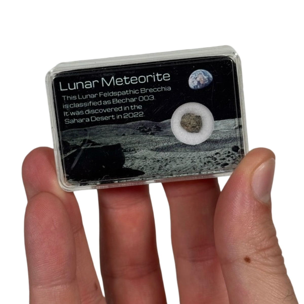 Lunar meteorite fragment (D) — Bechar 003, Algeria