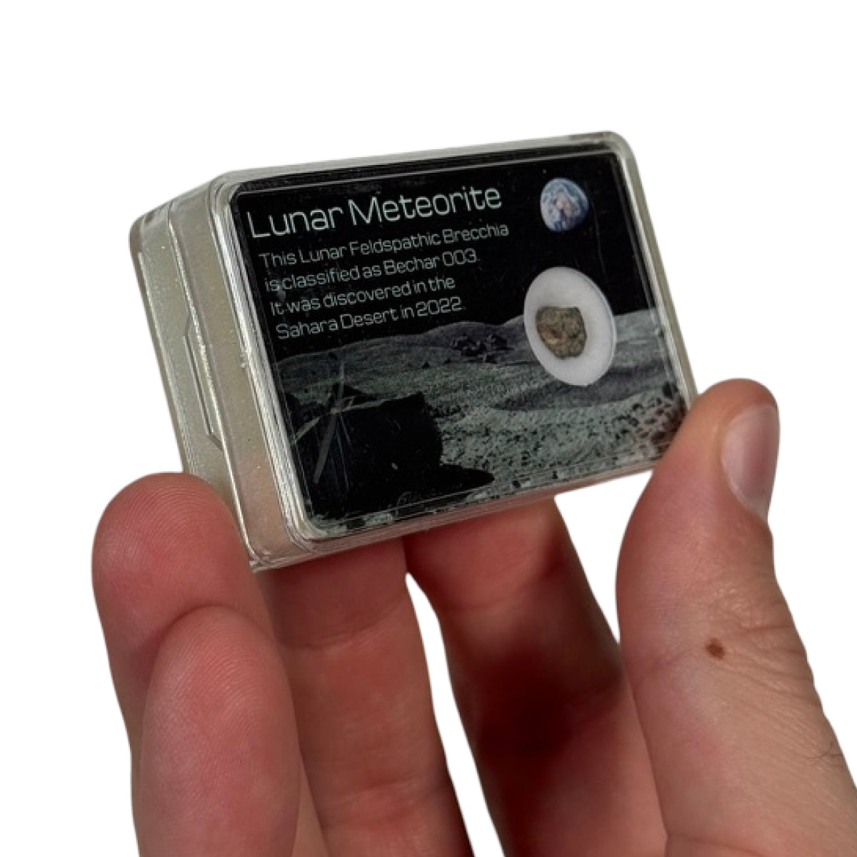 Lunar meteorite fragment (D) — Bechar 003, Algeria