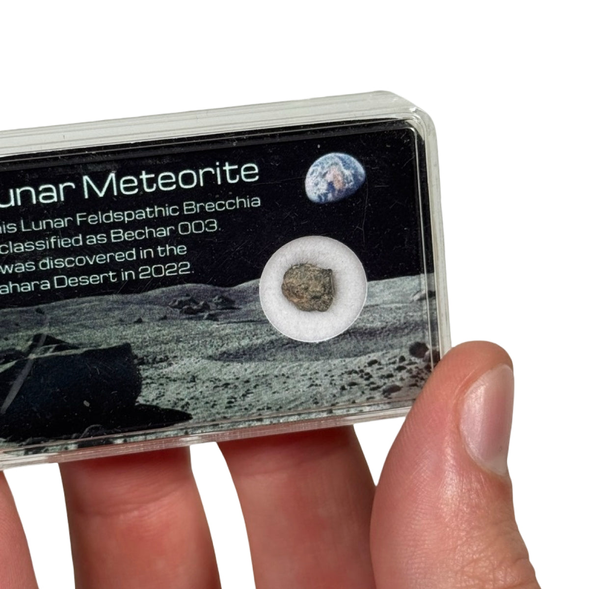 Lunar meteorite fragment (D) — Bechar 003, Algeria