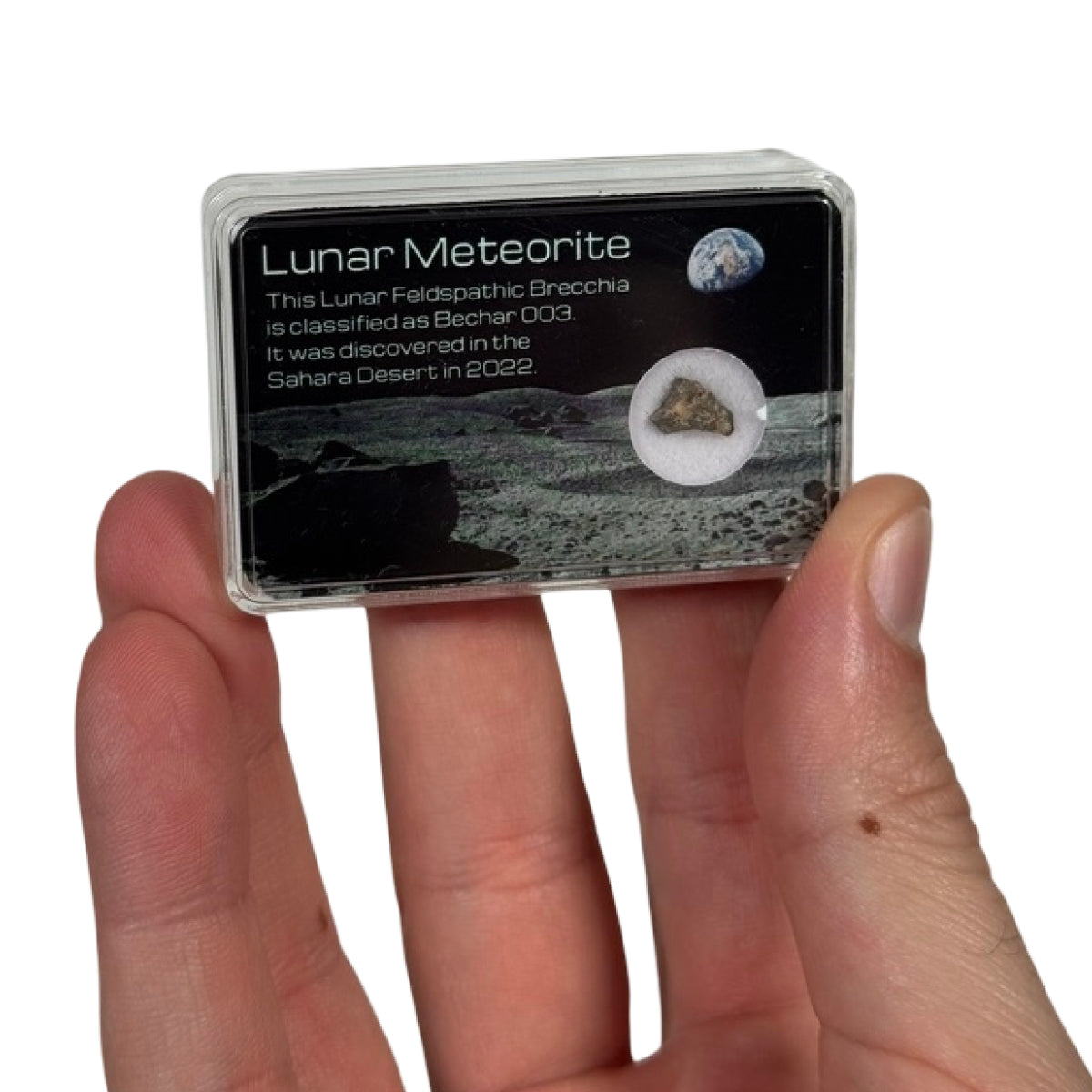 Lunar meteorite fragment (E) — Bechar 003, Algeria