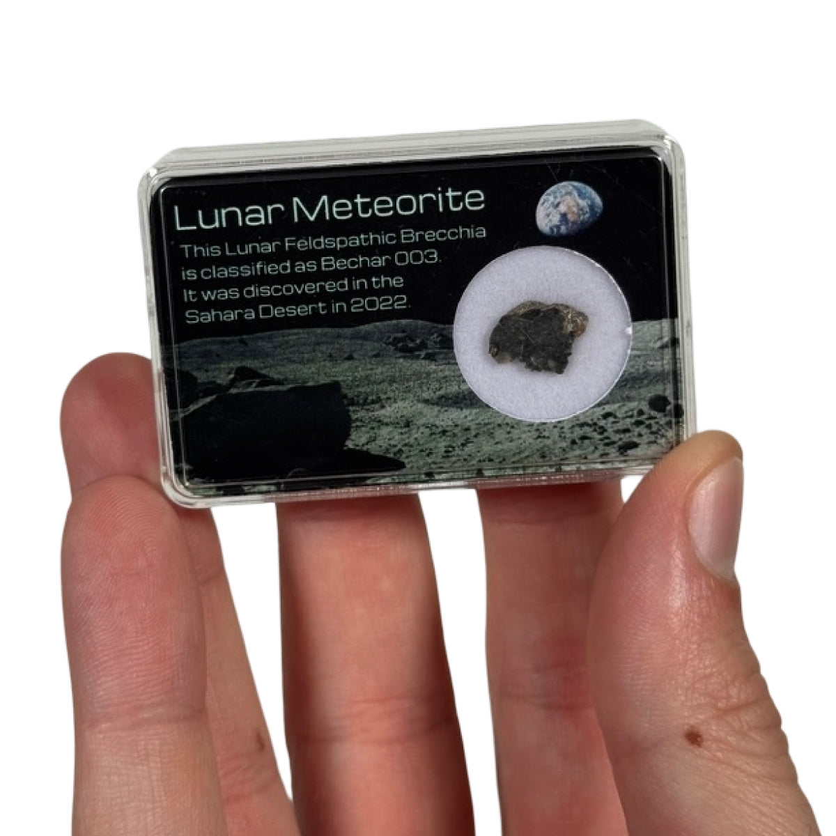 Lunar meteorite slice (A) — Bechar 003, Algeria