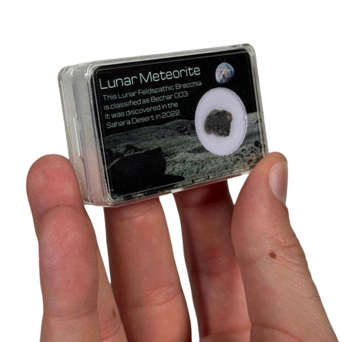Lunar meteorite slice (A) — Bechar 003, Algeria