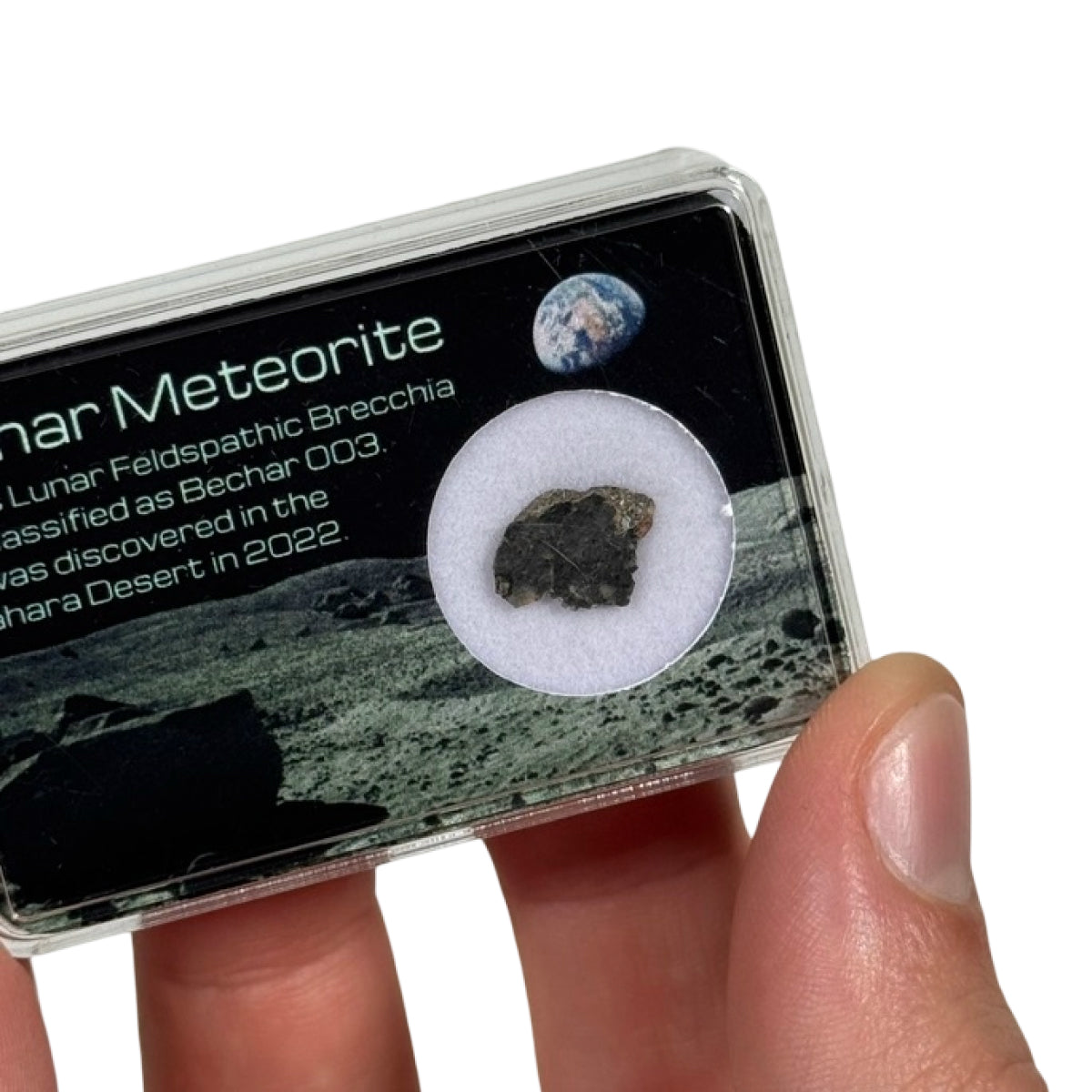 Lunar meteorite slice (A) — Bechar 003, Algeria