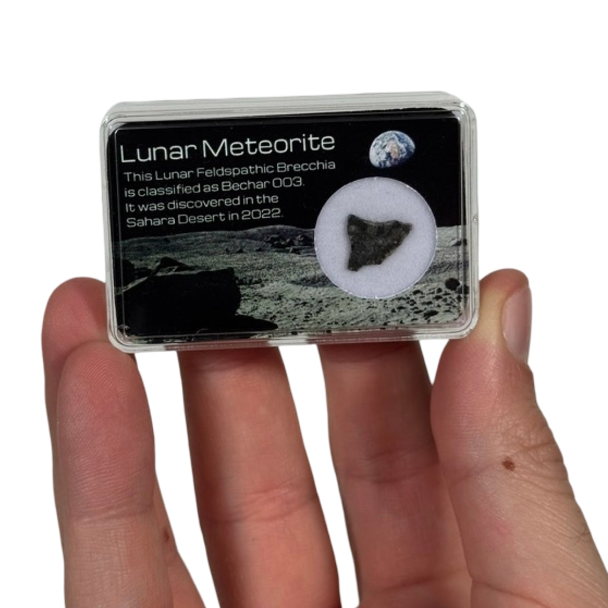 Lunar meteorite slice (C) — Bechar 003, Algeria