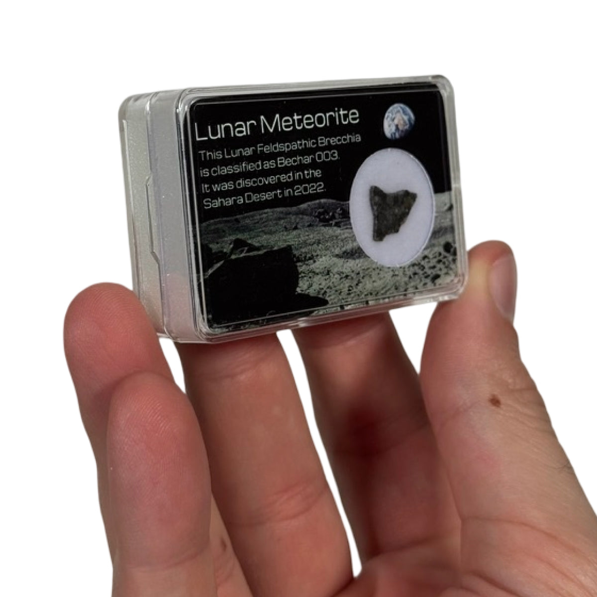 Lunar meteorite slice (C) — Bechar 003, Algeria