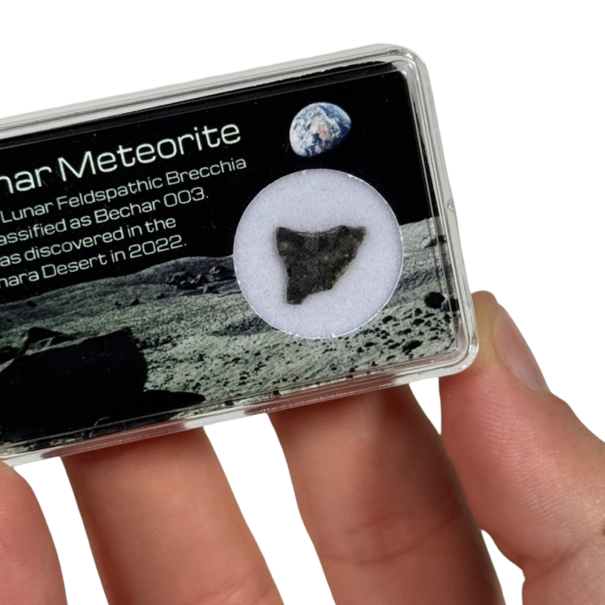 Lunar meteorite slice (C) — Bechar 003, Algeria