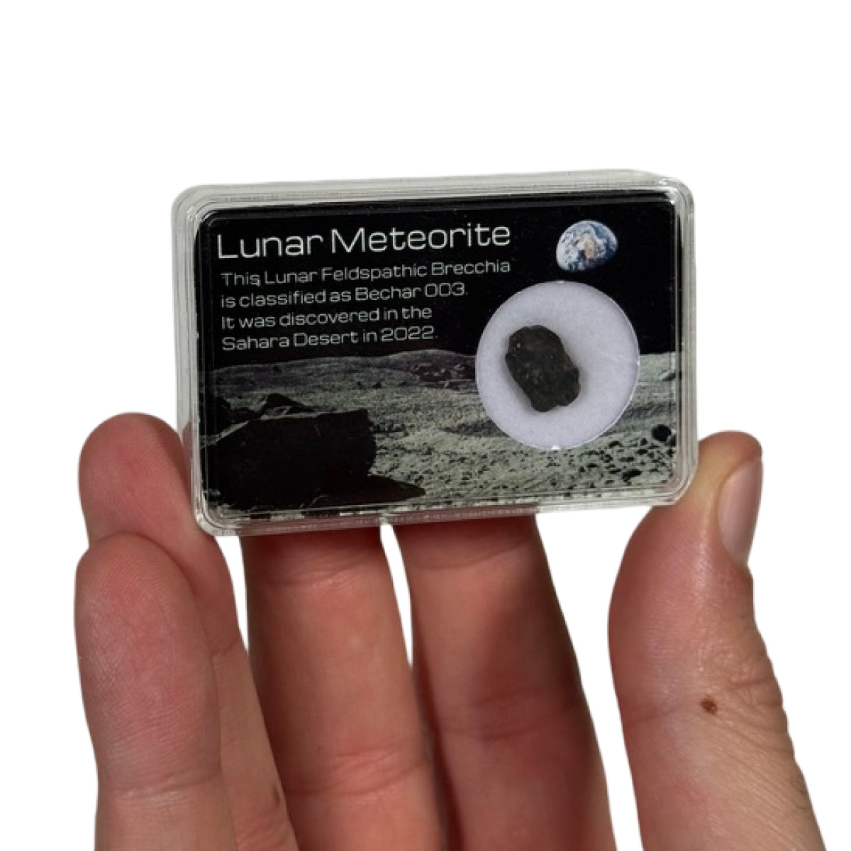 Lunar meteorite slice (D) — Bechar 003, Algeria