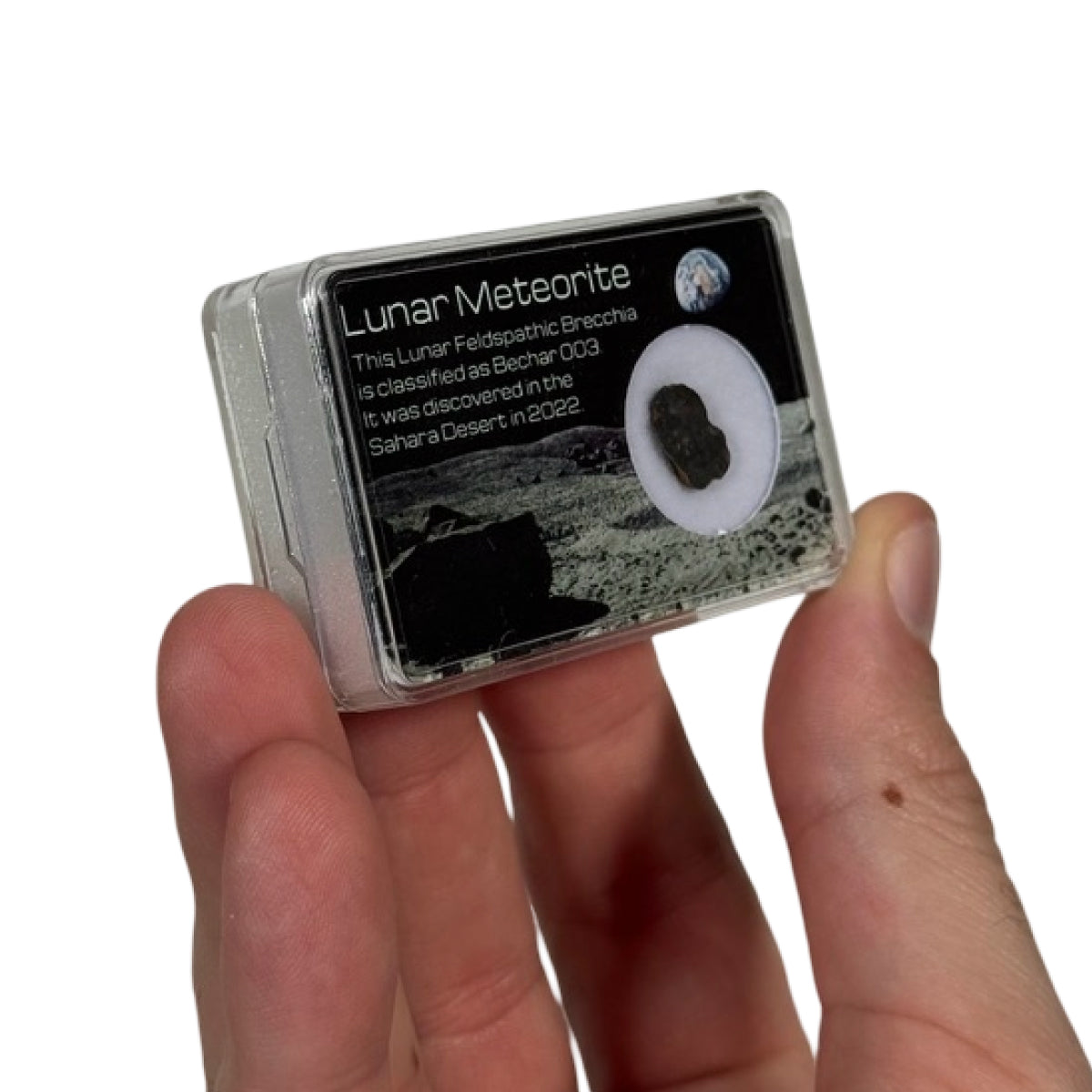 Lunar meteorite slice (D) — Bechar 003, Algeria