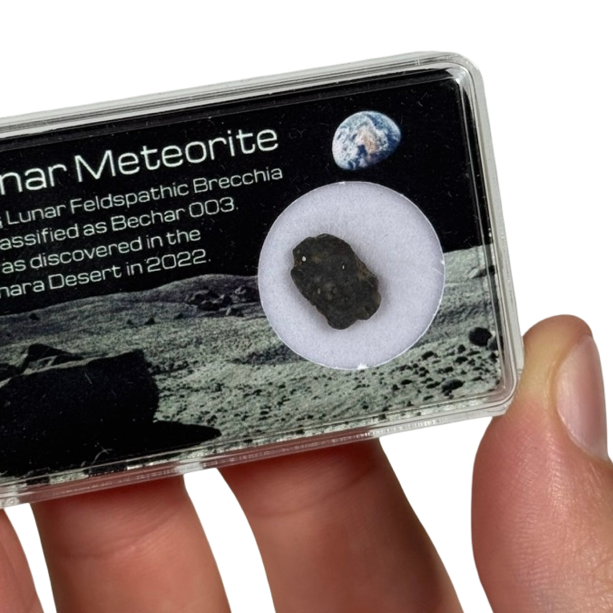 Lunar meteorite slice (D) — Bechar 003, Algeria