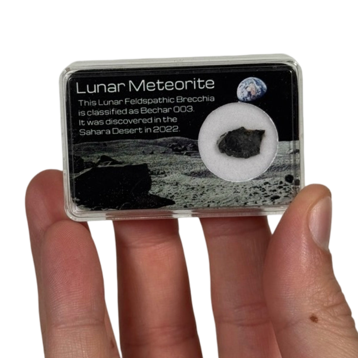 Lunar meteorite slice (E) — Bechar 003, Algeria