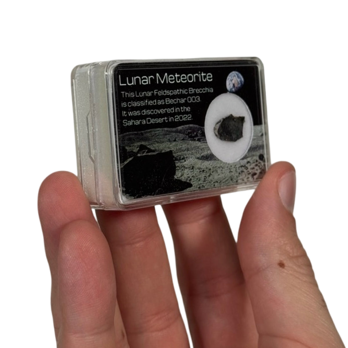 Lunar meteorite slice (E) — Bechar 003, Algeria