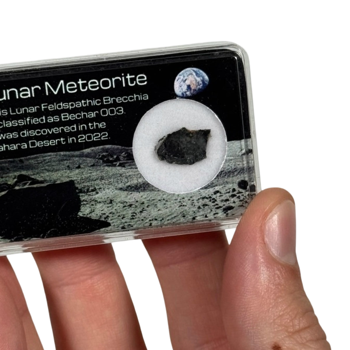Lunar meteorite slice (E) — Bechar 003, Algeria