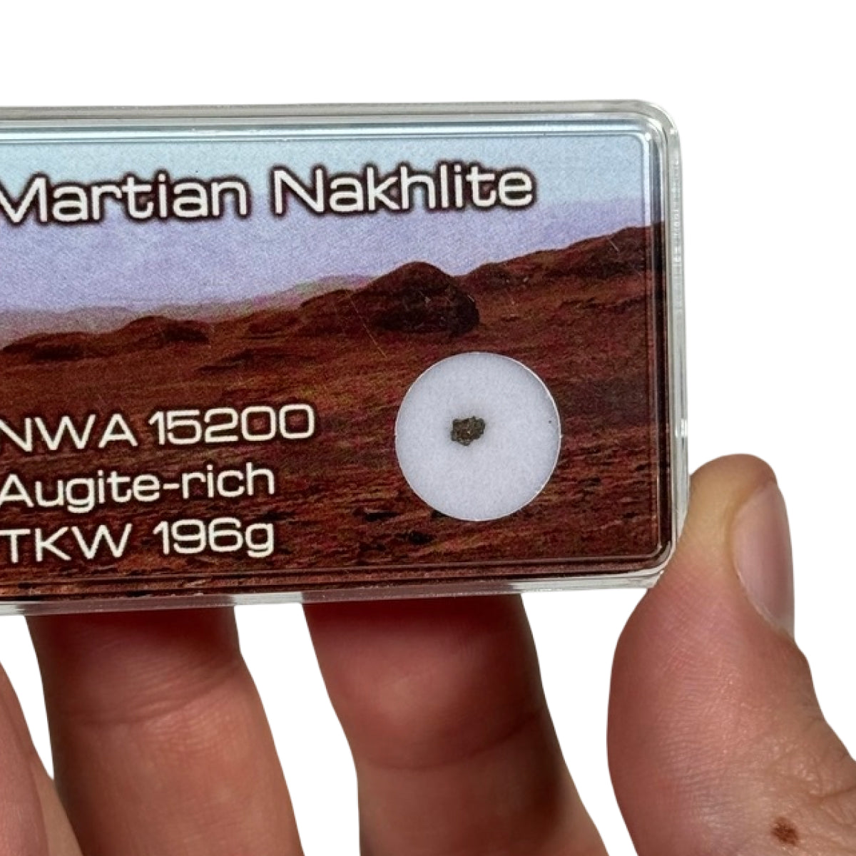 Martian meteorite fragment (D) — NWA 15200, Algeria