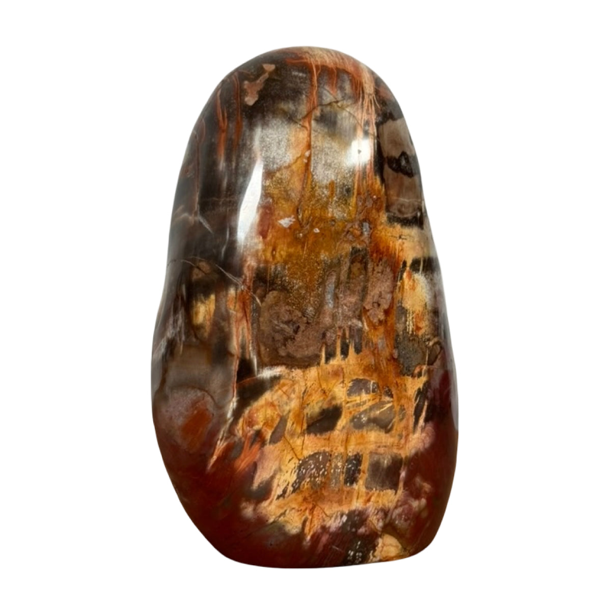 Petrified wood freeform (A) — natural, Madagascar