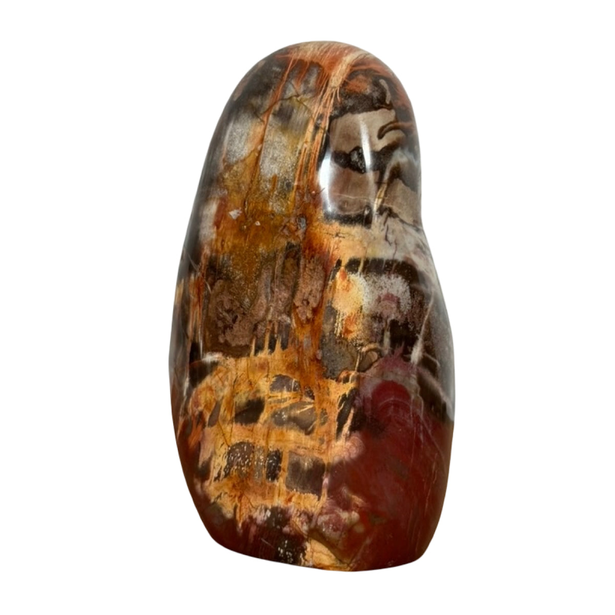 Petrified wood freeform (A) — natural, Madagascar