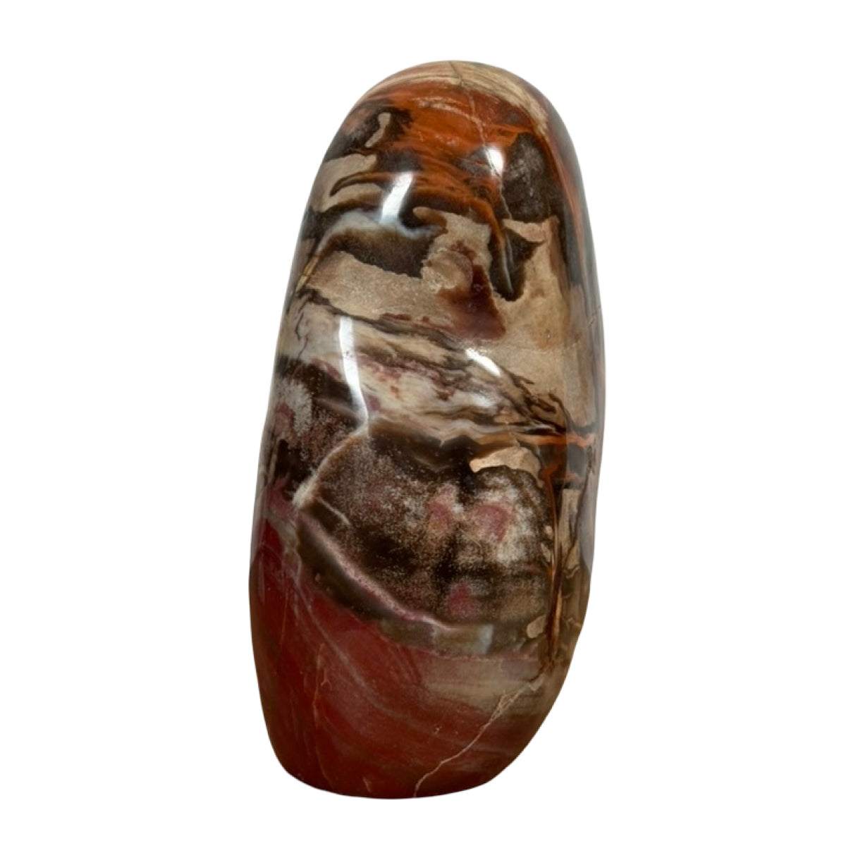 Petrified wood freeform (A) — natural, Madagascar
