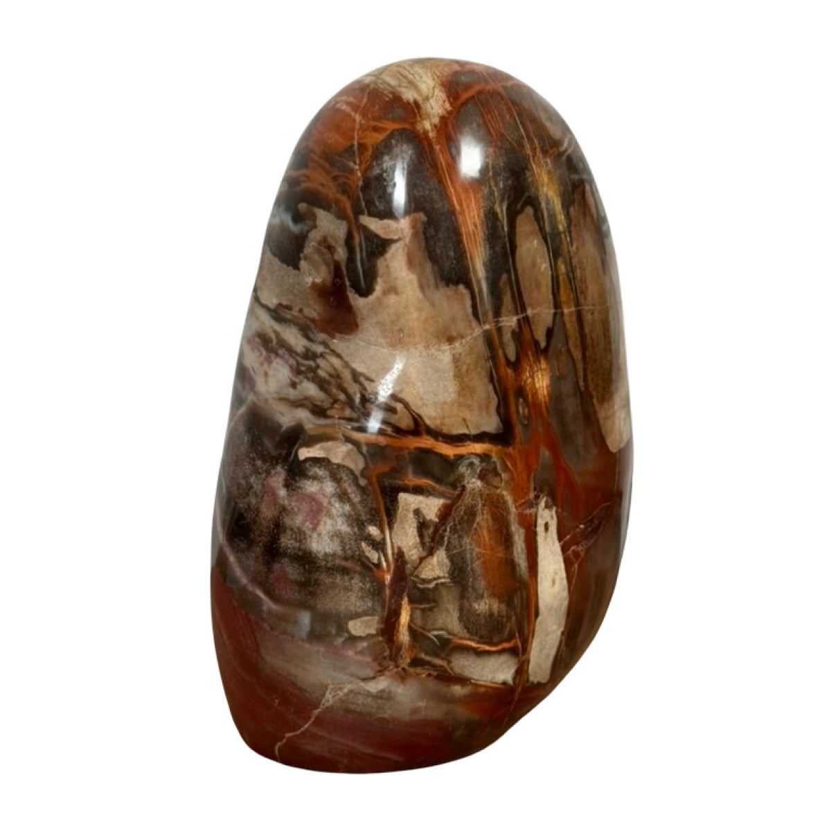 Petrified wood freeform (A) — natural, Madagascar