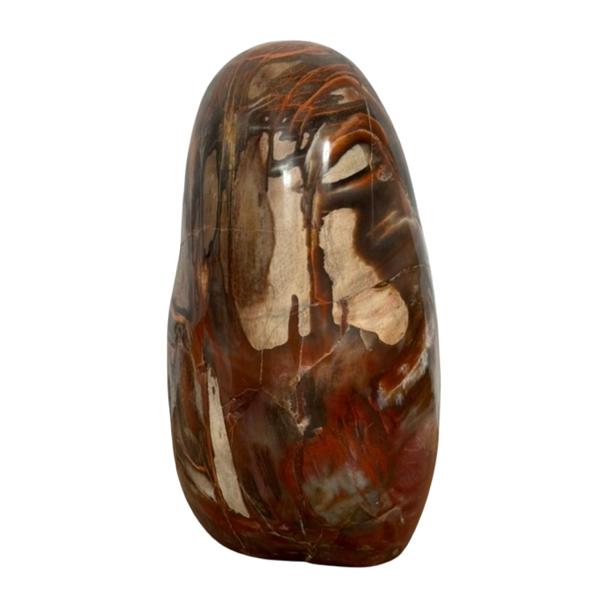 Petrified wood freeform (A) — natural, Madagascar