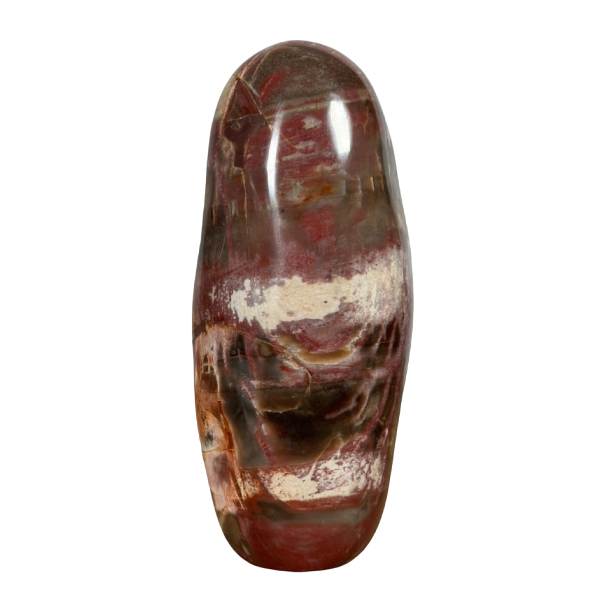 Petrified wood freeform (B) — natural, Madagascar